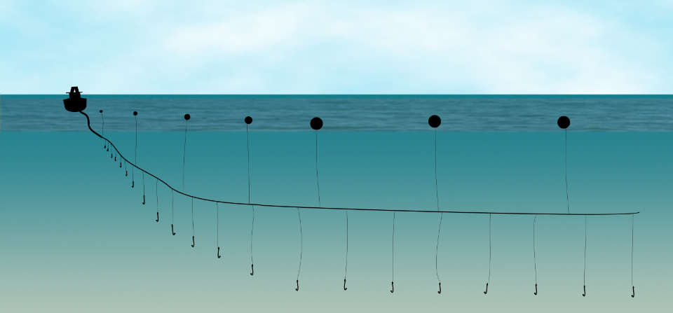 longline