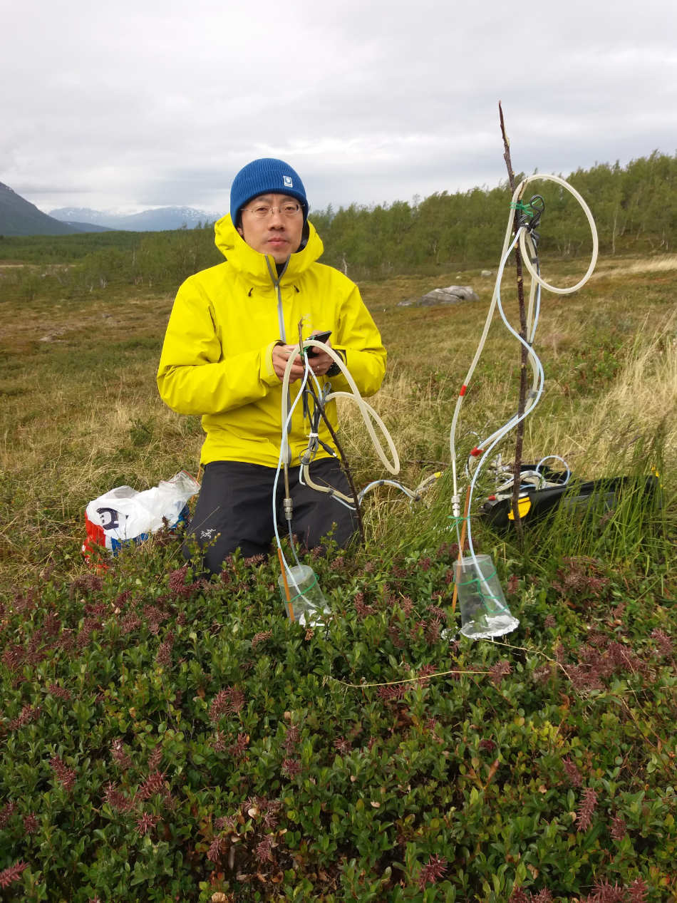 Biologe Tao Li hat herausgefunden, wie Pflanzen in der Arktis auf Klimaerwärmung und vermehrten Insektenfraß reagieren. Credit: Jolanta Rieksta