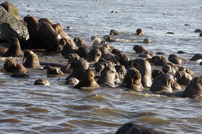 026_Chukotka